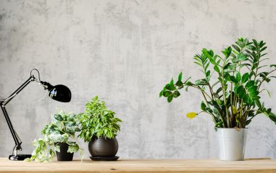 Kitchen Wallpaper Installation in Kansas City, KS